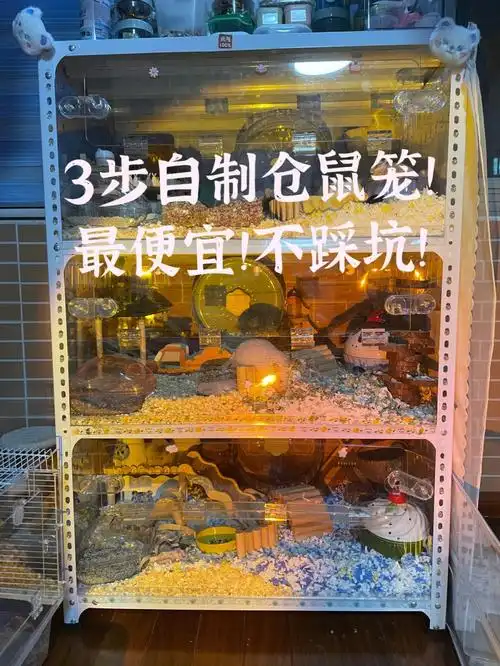 最简单的自制仓鼠笼,我踩的坑不允许你们踩