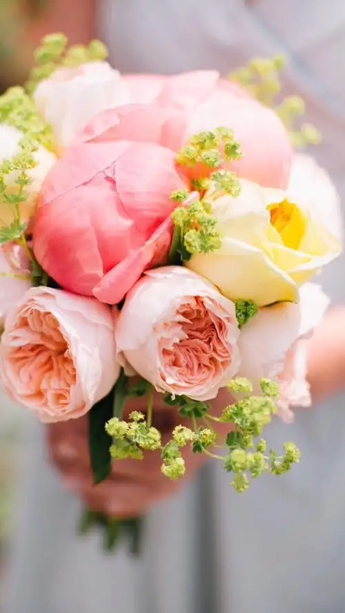 鲜花 清新 摄影 田园 绿色 自然 淡雅 风景名胜 壁纸 素材 锁屏 屏保