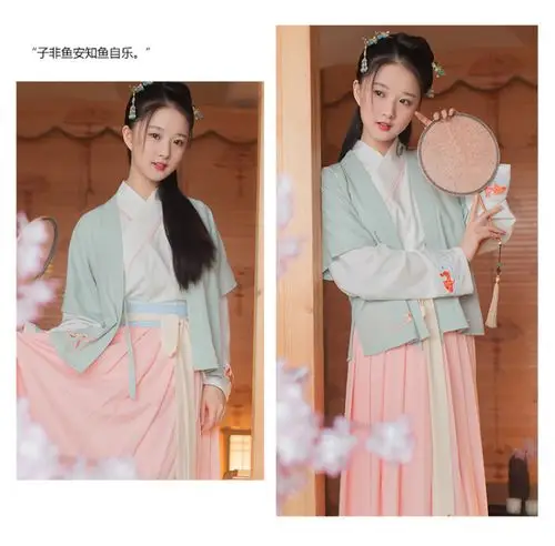 重回汉唐汉服夏装女子非鱼传统对襟短袖半臂原创日常中国风上衣