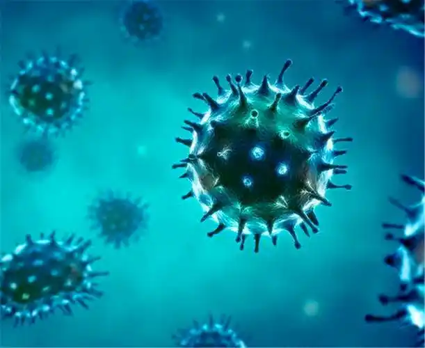 新型新冠病毒的特征 新冠新型冠状病毒的特征