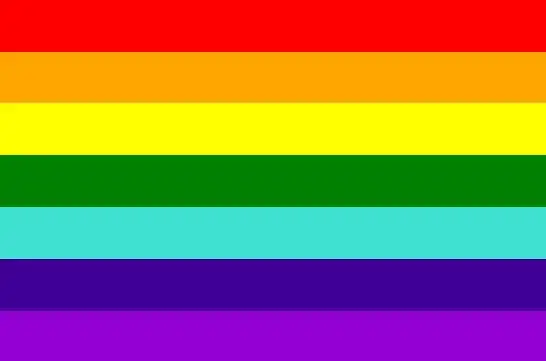 1978-1979年使用的七色彩虹旗