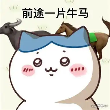 关于前途的搞怪表情包前途一片系列表情图片