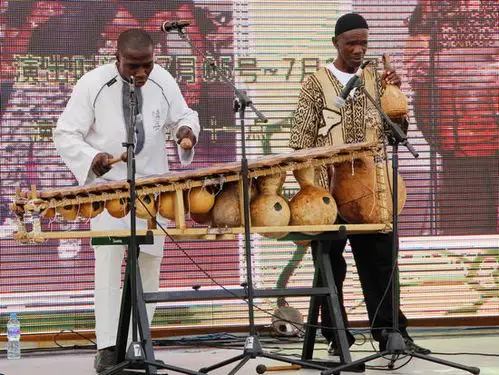 "balafon"又称非洲钢琴,非洲木琴,是非洲传统乐器的代表,由竹片,葫芦