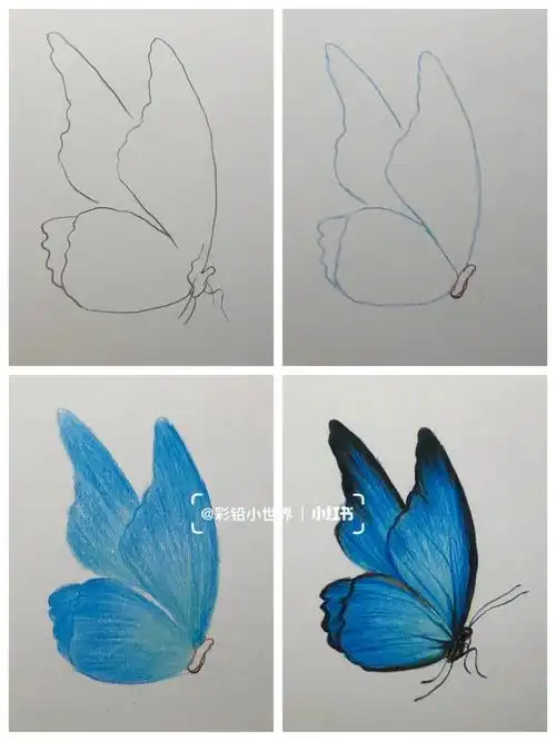 继续用刚刚这支蓝色,在蝴蝶翅膀上进行平涂,把颜色画均匀一些四,再去