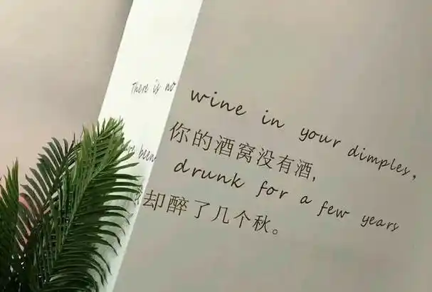 高冷又成熟文案(霸气超拽高冷吸引人句子)