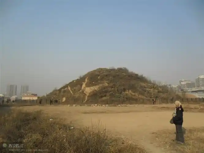 秦国王陵02秦庄襄王陵