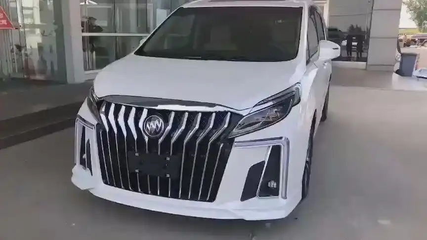 野,别克埃尔法05