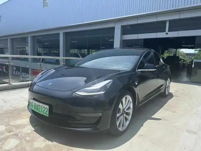 特斯拉 model 3(进口) 2019款 model 3  - 抖音