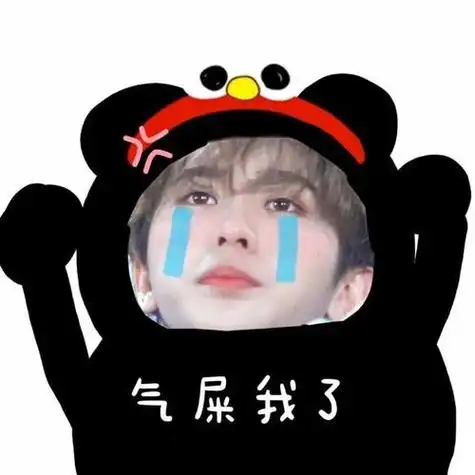 蔡徐坤表情头像黑粉专用(蔡徐坤黑粉专用表情包图片来源) - 搞怪个性