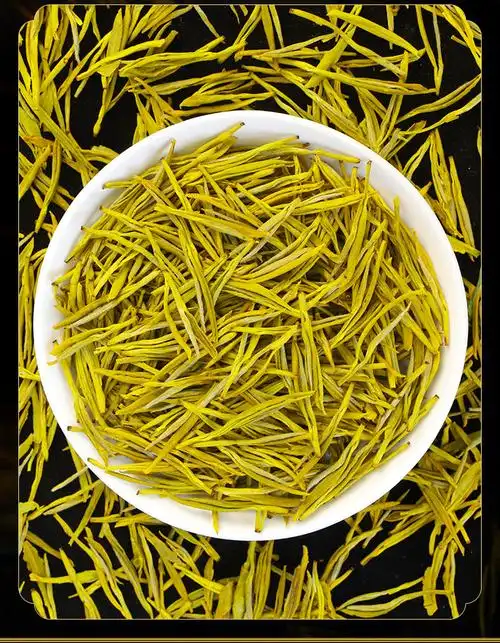 茗播安吉黄金芽绿茶2022新茶正宗嫩芽浓香型手工茶叶批发机制茶一斤
