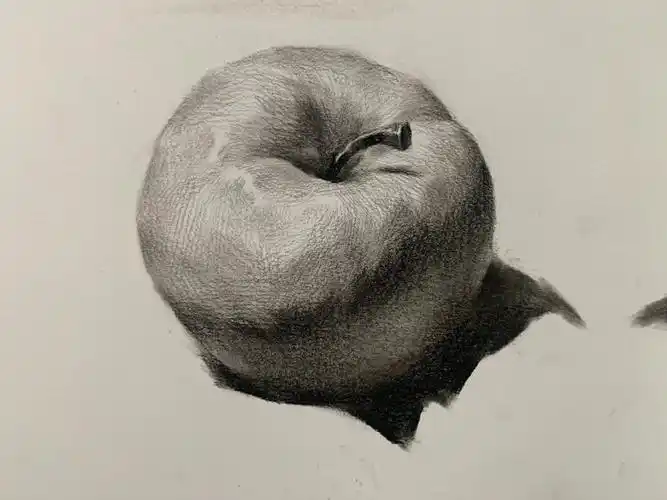 素描静物单体三颗苹果