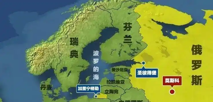 这一招真让俄罗斯怒了|爱沙尼亚|俄罗斯|芬兰_新浪军事_新浪网