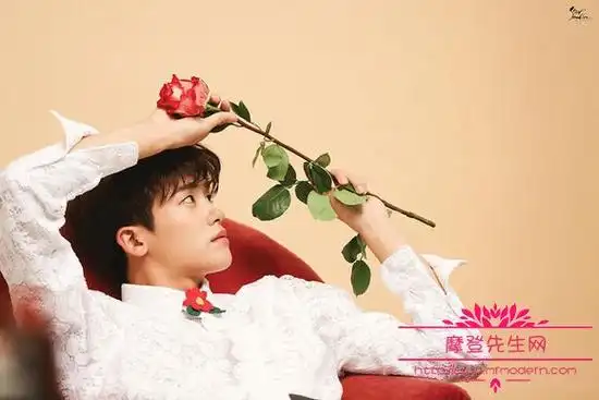 朴炯植为什么叫娃娃兵朴炯植和南智贤的结婚照赏析