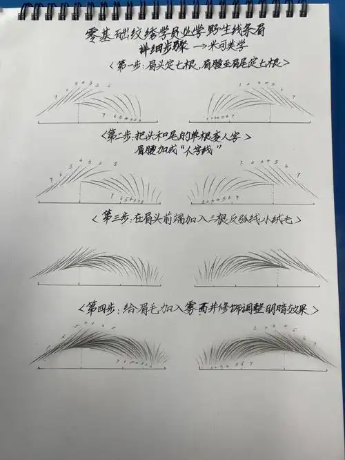 零基础纹绣学员必学野生线条眉操作画法
