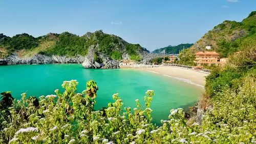 越南的热门海滩度假目的地