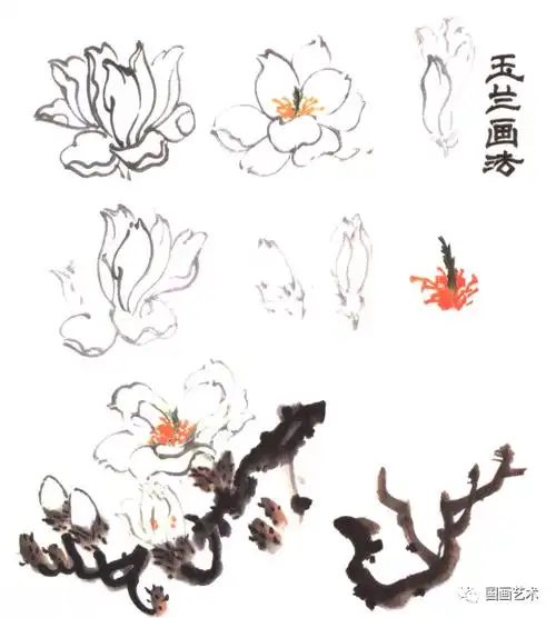 那我们一起学画写意玉兰花吧!
