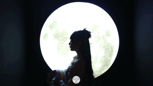 静安大悦城开了家锦鲤祠高级感古风场景搭配汉服拍出绝美大片