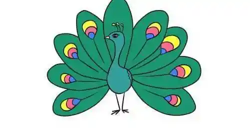 难点是对孔雀尾巴上漂亮的图案进行刻画,这样画出来的孔雀简笔画既生