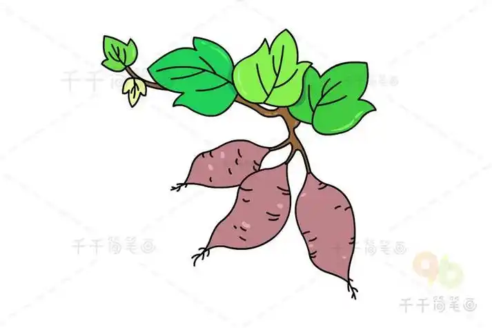 幼儿番薯简笔画