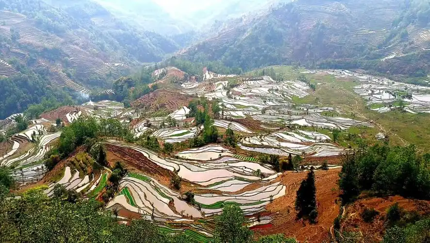 云南元阳哈尼梯田游(2019年3月20日)