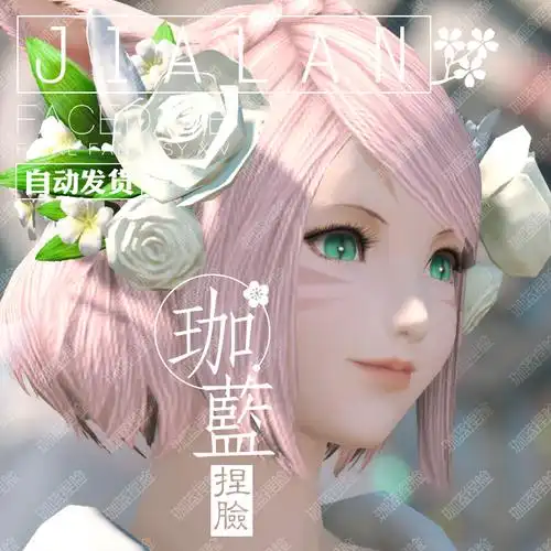 珈蓝最终幻想ff14捏脸数据脸型猫魅族猫女游戏实物周边