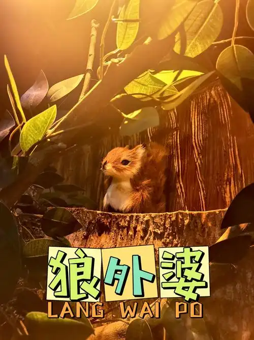 你还记得童年经典童话小红帽的故事吗?