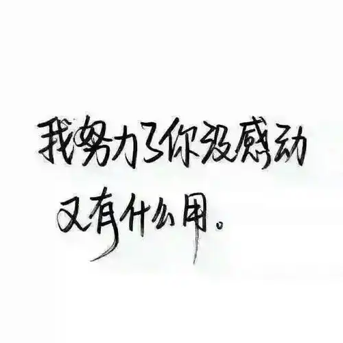 白底黑字 qq背景图
