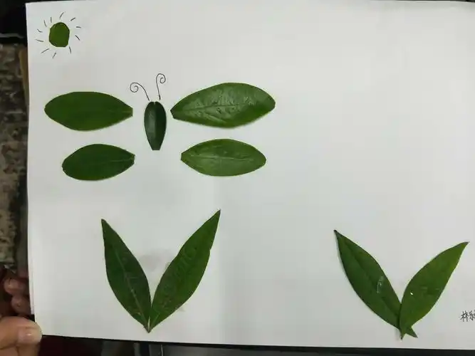 创意无限的树叶贴画