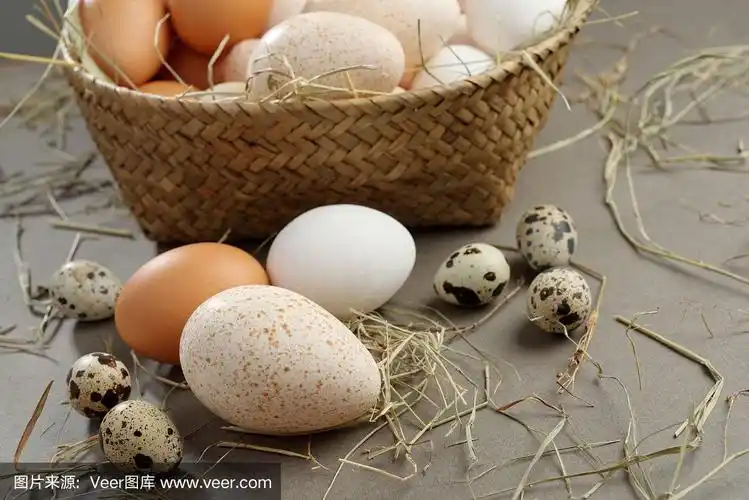 各种各样的蛋