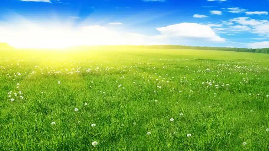 绿色养眼自然风景图片桌面壁纸