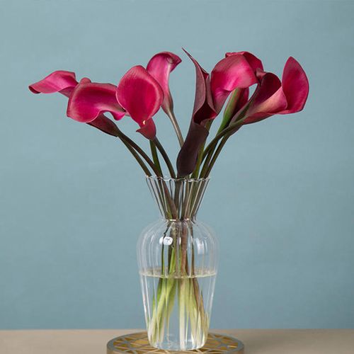 京东鲜花马蹄莲鲜花云南昆明基地直发花材鲜切花室内插花颜色随机10枝