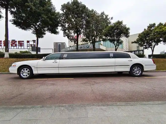 林肯 城市  2004款 4.6 加长礼宾车图片