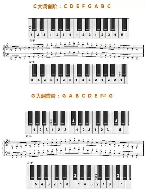 12个大调音阶及左右手指法图示