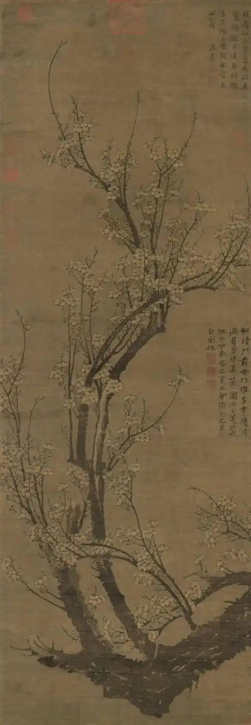 王冕:梅谱_老僧_墨梅图_龙鳞