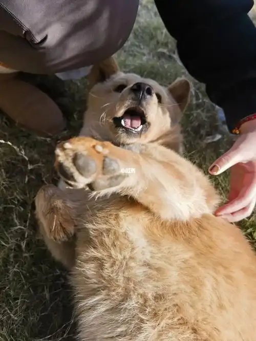 右滑看国美校草撒娇