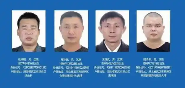 湖北武汉"黑老大"落网,坐拥10多亿资产,堪称现实版"高启强"|犯罪|武汉