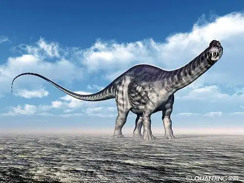 恐龙图片_图片大全