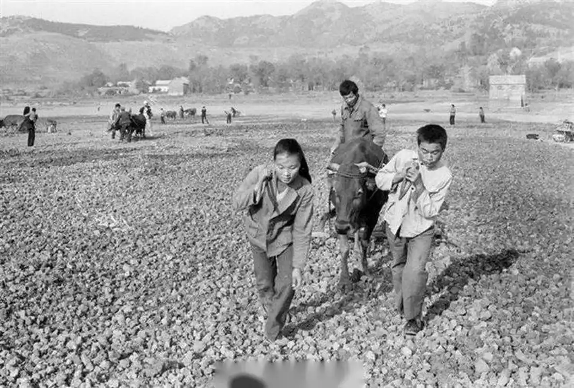 【老照片】记录80年代真实的农村生活.