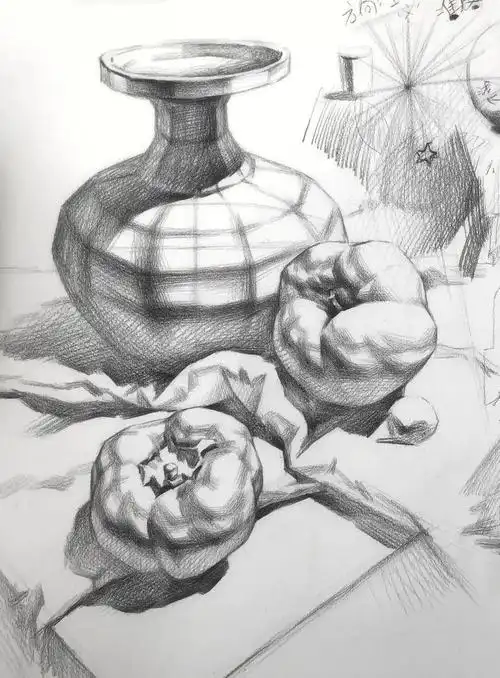 素描静物结构课程分享