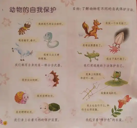 "离园不离情,安全伴幼行"——兴县实验幼儿园线上保教微课堂