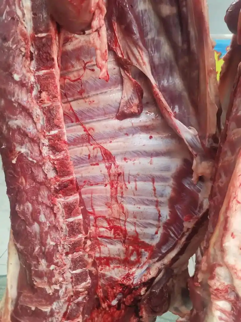 新鲜现宰羊肉  佛山羊肉批发 广州羊 - 抖音