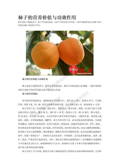 中国吃网为您介绍柿子营养价值及柿子的功效与作用