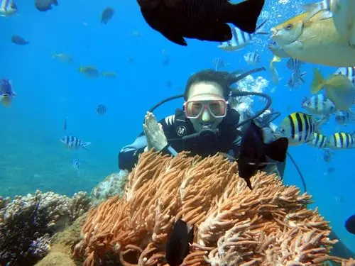 三亚蜈支洲岛珊瑚礁潜水(热带鱼我们走)