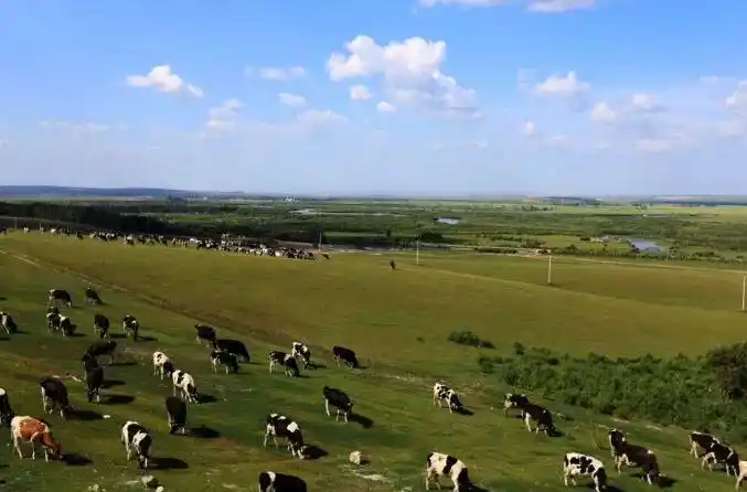 2020年俄罗斯国际畜牧展览会_发展