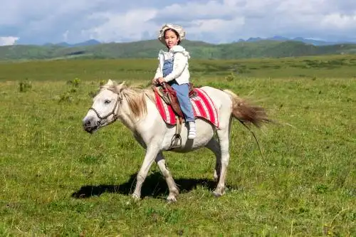 在草原上骑马的女孩