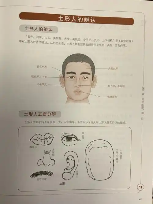 土形人的面部特征及养生要点