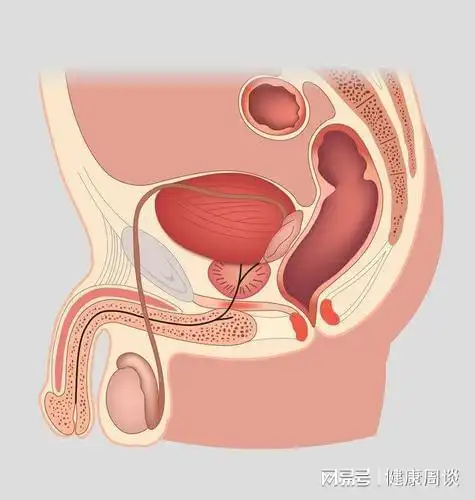 不瞒你说男人若有3个异常多半是膀胱癌来访了