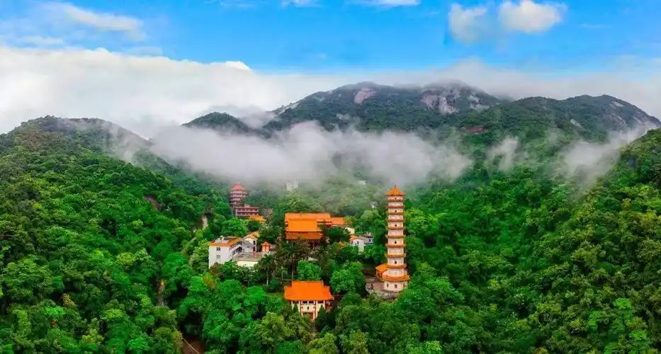 大美罗浮山,《新闻联播》见_博罗_中国_广东