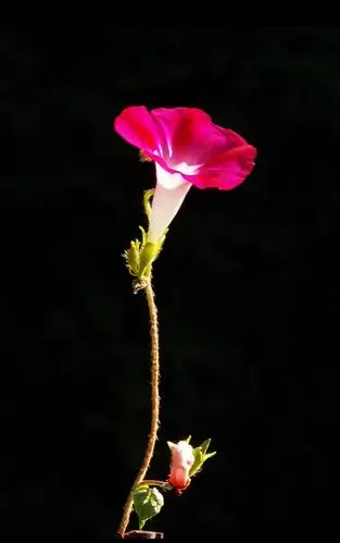 1169_1865竖版 竖屏