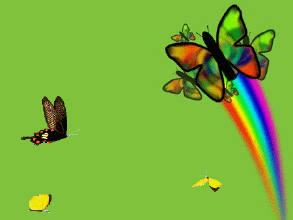 ppt动态蝴蝶_百度图片搜索